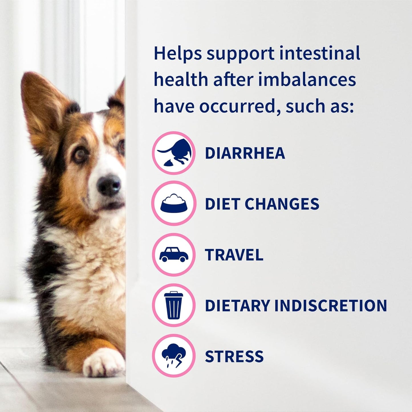 Proviable Pet Health Booster