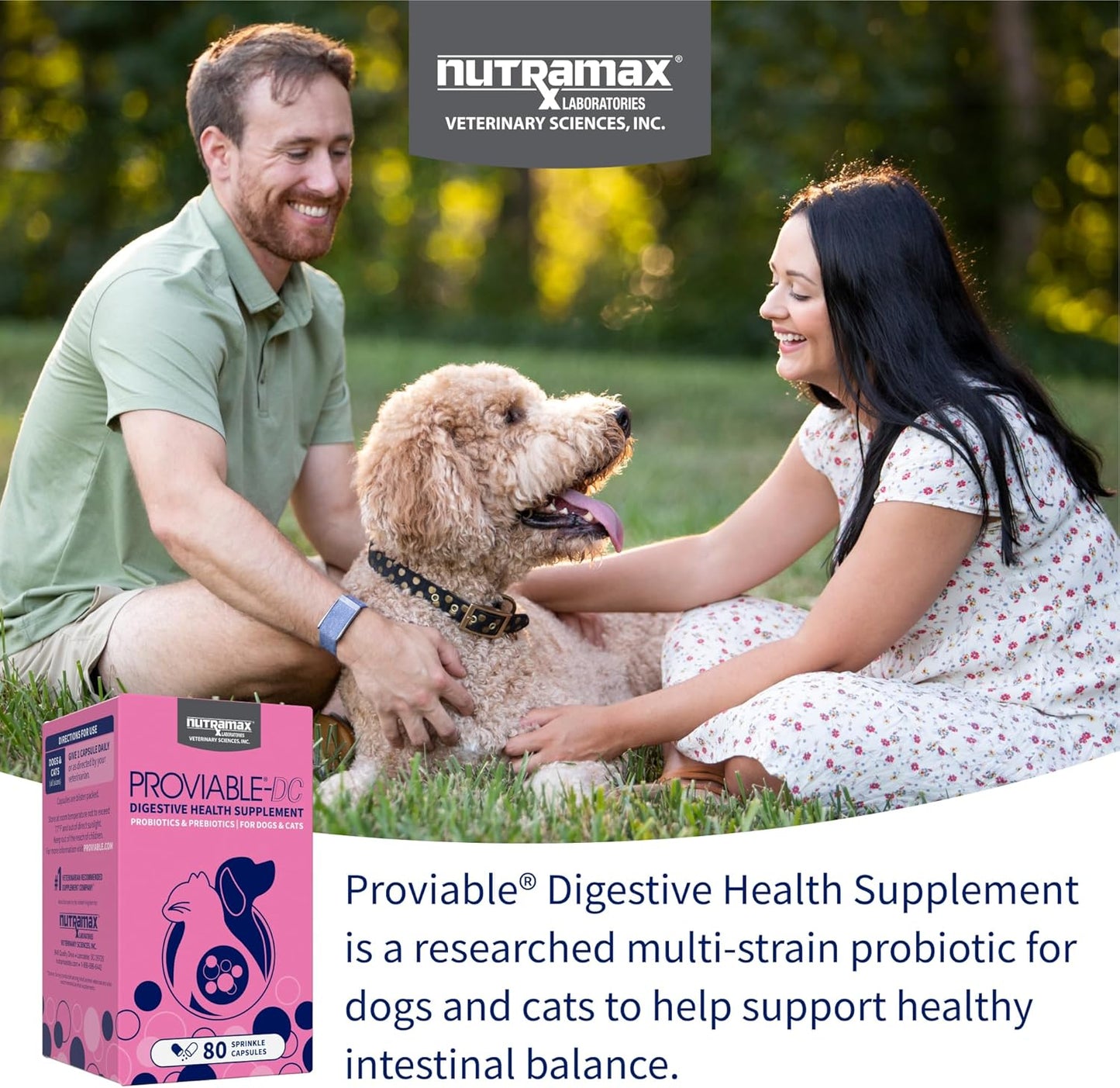 Proviable Pet Health Booster